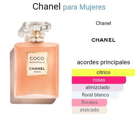 coco noir chanel notas olfativas|coco de chanel perfume.